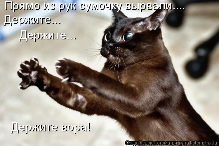 Прямо из рук сумочку вырвали.... Держите... Держите... Держите вора!... Котоматрица: Прямо из рук сумочку вырвали.... Держите... Держите... Держите вора!
