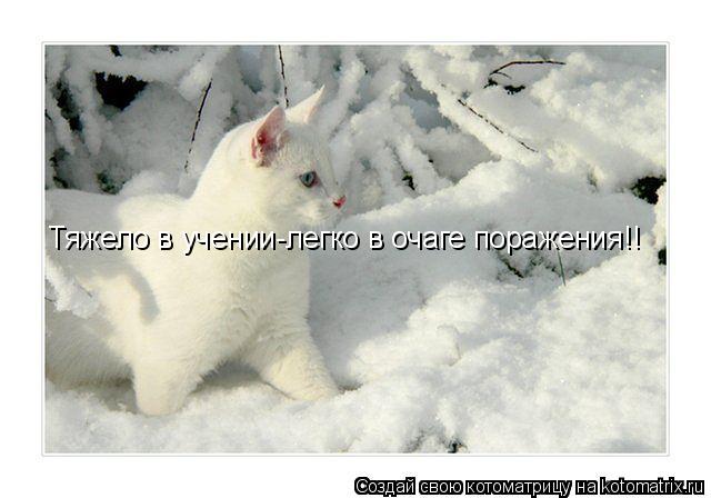 Тяжело в учении-легко в очаге поражения!!... Котоматрица: Тяжело в учении-легко в очаге поражения!!