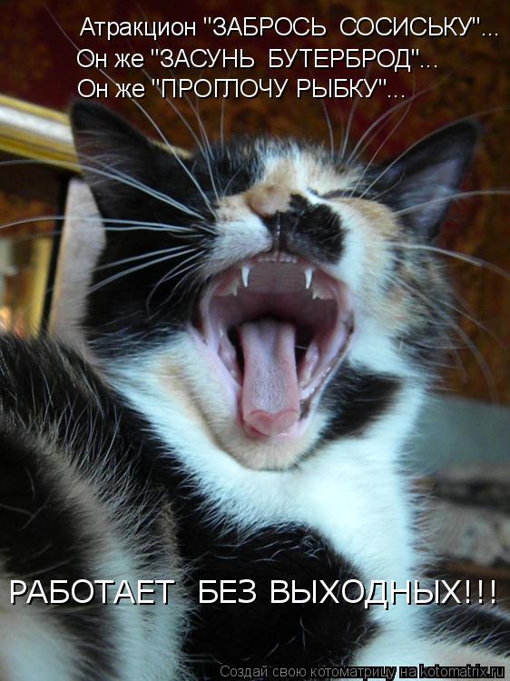 Атракцион "ЗАБРОСЬ СОСИСЬКУ" Он же "ЗАСУНЬ БУТЕРБРОД"... Он же "ПРОГЛОЧУ РЫБКУ"... Атракцион "ЗАБРО... Котоматрица: Атракцион "ЗАБРОСЬ СОСИСЬКУ" Он же "ЗАСУНЬ БУТЕРБРОД"... Он же "ПРОГЛОЧУ РЫБКУ"... Атракцион "ЗАБРОСЬ СОСИСЬКУ"... РАБОТАЕТ БЕЗ ВЫХОДНЫХ!!!