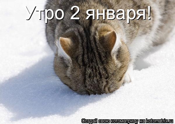 Утро 2 января!... Котоматрица: Утро 2 января!