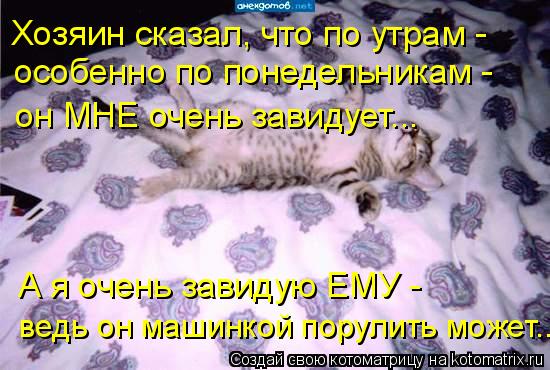 Хозяин сказал, что по утрам - особенно по понедельникам - он МНЕ очень завидует... ведь он машинкой... Котоматрица: Хозяин сказал, что по утрам - особенно по понедельникам - он МНЕ очень завидует... ведь он машинкой порулить может... А я очень завидую ЕМУ -