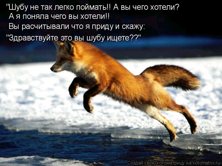 "Шубу не так легко поймать!! А вы чего хотели? А я поняла чего вы хотели!! Вы расчитывали что я прид... Котоматрица: "Шубу не так легко поймать!! А вы чего хотели? А я поняла чего вы хотели!! Вы расчитывали что я приду и скажу: "Здравствуйте это вы шубу ищете??"