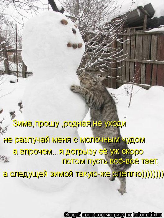 а следущей зимой такую-же слеплю))))))))) потом пусть всё-всё тает, не разлучай меня с молочным чудом... Котоматрица: а следущей зимой такую-же слеплю))))))))) потом пусть всё-всё тает, не разлучай меня с молочным чудом Зима,прошу ,родная,не уходи а впрочем...я до
