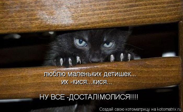 люблю маленьких детишек... их -кися...кися... НУ ВСЕ -ДОСТАЛ!МОЛИСЯ!!!!... Котоматрица: люблю маленьких детишек... их -кися...кися... НУ ВСЕ -ДОСТАЛ!МОЛИСЯ!!!!