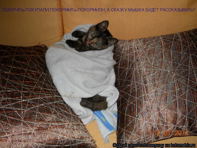 ПОКУПАТЬ-ПОКУПАЛИ,ПОКОРМИТЬ-ПОКОРМИЛИ, А СКАЗКУ МЫШКА БУДЕТ РАССКАЗЫВАТЬ?... Котоматрица: ПОКУПАТЬ-ПОКУПАЛИ,ПОКОРМИТЬ-ПОКОРМИЛИ, А СКАЗКУ МЫШКА БУДЕТ РАССКАЗЫВАТЬ?
