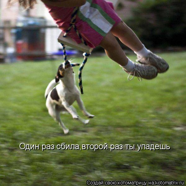 Один раз сбила,второй раз ты упадешь... Котоматрица: Один раз сбила,второй раз ты упадешь