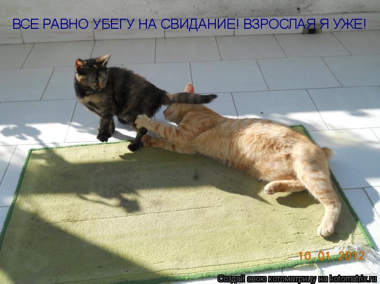 ВСЕ РАВНО УБЕГУ НА СВИДАНИЕ! ВЗРОСЛАЯ Я УЖЕ!... Котоматрица: ВСЕ РАВНО УБЕГУ НА СВИДАНИЕ! ВЗРОСЛАЯ Я УЖЕ!