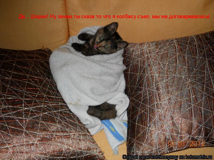 Да... Шарик! Ну зачем ты сказа то что я колбасу съел, мы же договаривались!... Котоматрица: Да... Шарик! Ну зачем ты сказа то что я колбасу съел, мы же договаривались!