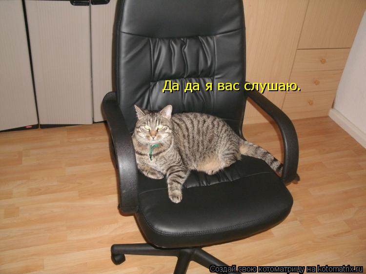 Да да я вас слушаю.... Котоматрица: Да да я вас слушаю.