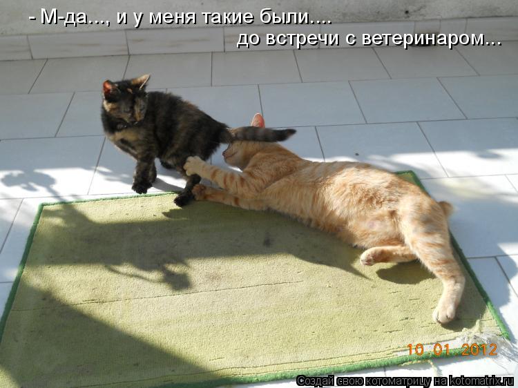 - М-да..., и у меня такие были.... до встречи с ветеринаром...... Котоматрица: - М-да..., и у меня такие были.... до встречи с ветеринаром...