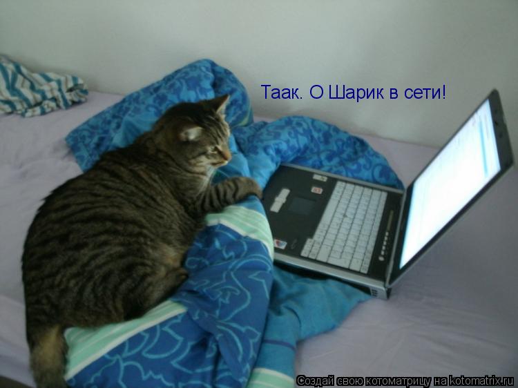 Таак. О Шарик в сети!... Котоматрица: Таак. О Шарик в сети!