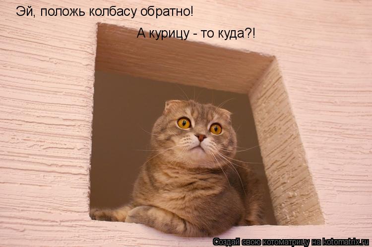Эй, положь колбасу обратно! А курицу - то куда?!... Котоматрица: Эй, положь колбасу обратно! А курицу - то куда?!