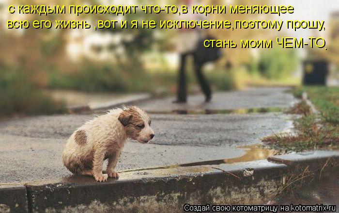 всю его жизнь ,вот и я не исключение,поэтому прошу, стань моим ЧЕМ-ТО с каждым происходит что-то,в ко... Котоматрица: всю его жизнь ,вот и я не исключение,поэтому прошу, стань моим ЧЕМ-ТО с каждым происходит что-то,в корни меняющее .