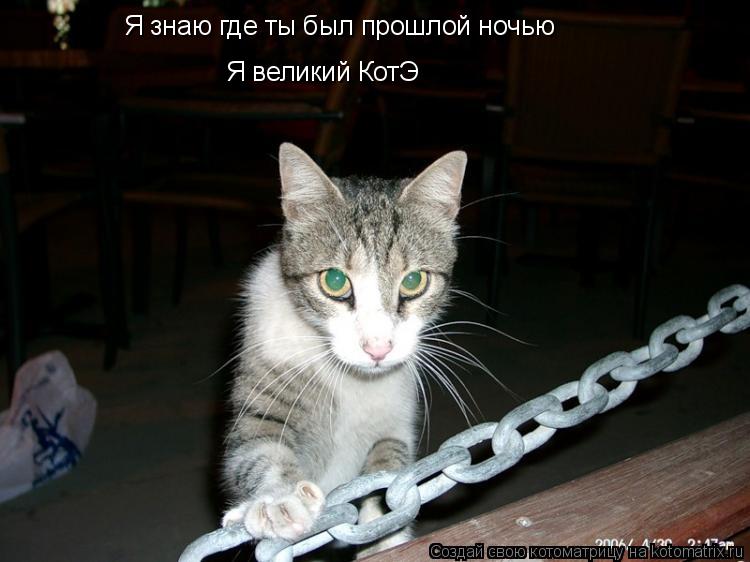Я знаю где ты был прошлой ночью Я великий КотЭ... Котоматрица: Я знаю где ты был прошлой ночью Я великий КотЭ