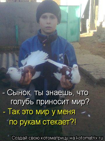 - Сынок, ты знаешь, что голубь приносит мир? - Так это мир у меня по рукам стекает?!... Котоматрица: - Сынок, ты знаешь, что голубь приносит мир? - Так это мир у меня по рукам стекает?!