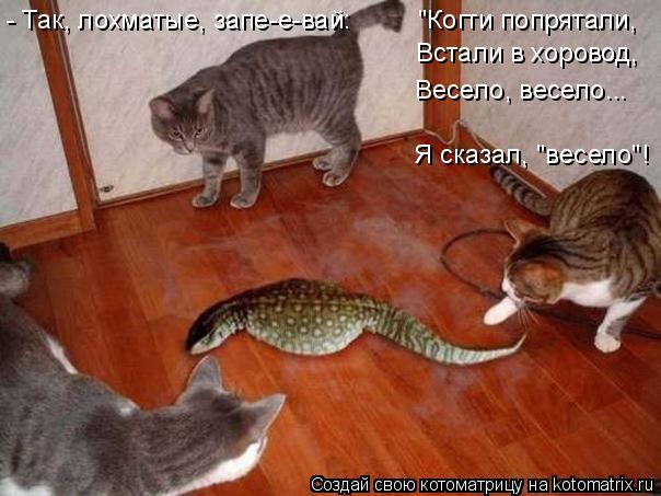 - Так, лохматые, запе-е-вай: "Когти попрятали, Встали в хоровод, Весело, весело... Я сказал, ... Котоматрица: - Так, лохматые, запе-е-вай: "Когти попрятали, Встали в хоровод, Весело, весело... Я сказал, "весело"!