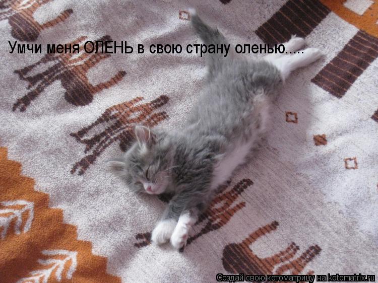 Умчи меня ОЛЕНЬ в свою страну оленью........ Котоматрица: Умчи меня ОЛЕНЬ в свою страну оленью.....