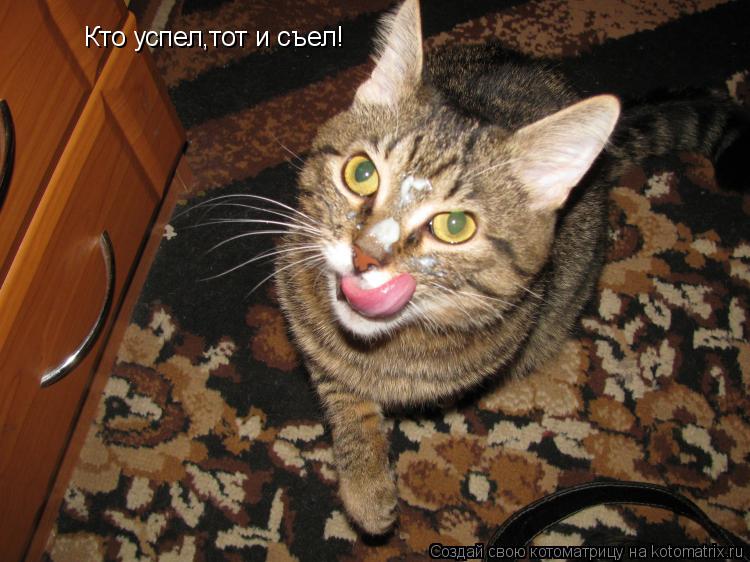 Кто успел,тот и съел!... Котоматрица: Кто успел,тот и съел!