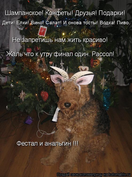 Шампанское! Конфеты! Друзья! Подарки! Дети! Елки! Вино! Салат! И снова тосты! Водка! Пиво… Не запрет... Котоматрица: Шампанское! Конфеты! Друзья! Подарки! Дети! Елки! Вино! Салат! И снова тосты! Водка! Пиво… Не запретишь нам жить красиво! Жаль что к утру фина