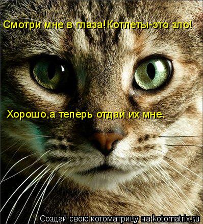 Смотри мне в глаза!Котлеты-это зло! Хорошо,а теперь отдай их мне.... Котоматрица: Смотри мне в глаза!Котлеты-это зло! Хорошо,а теперь отдай их мне.