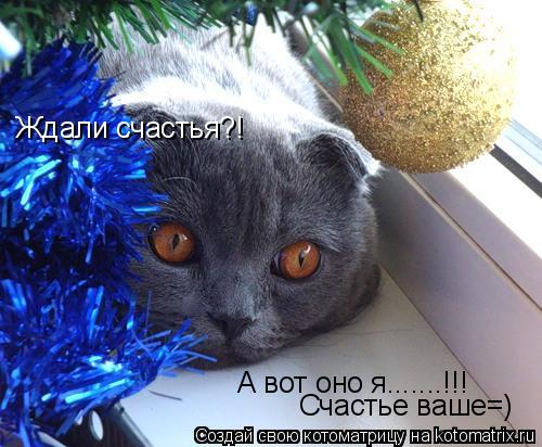 Ждали счастья?! А вот оно я.......!!! Счастье ваше=)... Котоматрица: Ждали счастья?! А вот оно я.......!!! Счастье ваше=)
