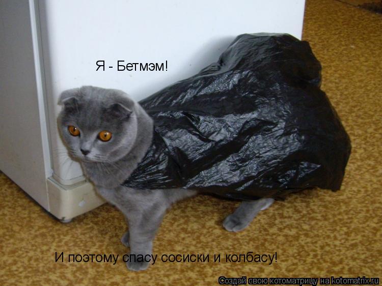 Я - Бетмэм! И поэтому спасу сосиски и колбасу!... Котоматрица: Я - Бетмэм! И поэтому спасу сосиски и колбасу!