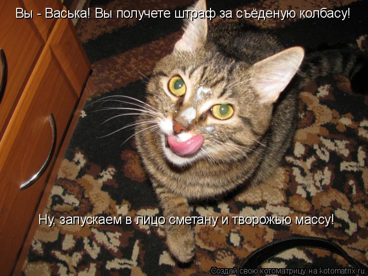 Вы - Васька! Вы получете штраф за съёденую колбасу! Ну, запускаем в лицо сметану и творожью массу!... Котоматрица: Вы - Васька! Вы получете штраф за съёденую колбасу! Ну, запускаем в лицо сметану и творожью массу!