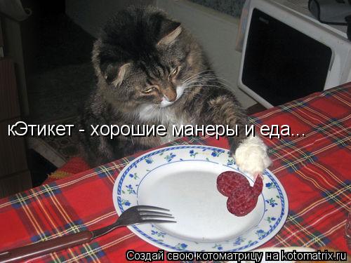 кЭтикет - хорошие манеры и еда...... Котоматрица: кЭтикет - хорошие манеры и еда...