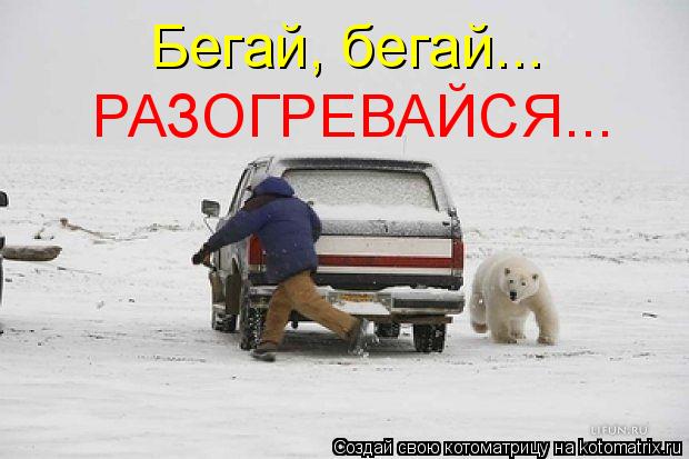 Бегай, бегай... РАЗОГРЕВАЙСЯ...... Котоматрица: Бегай, бегай... РАЗОГРЕВАЙСЯ...