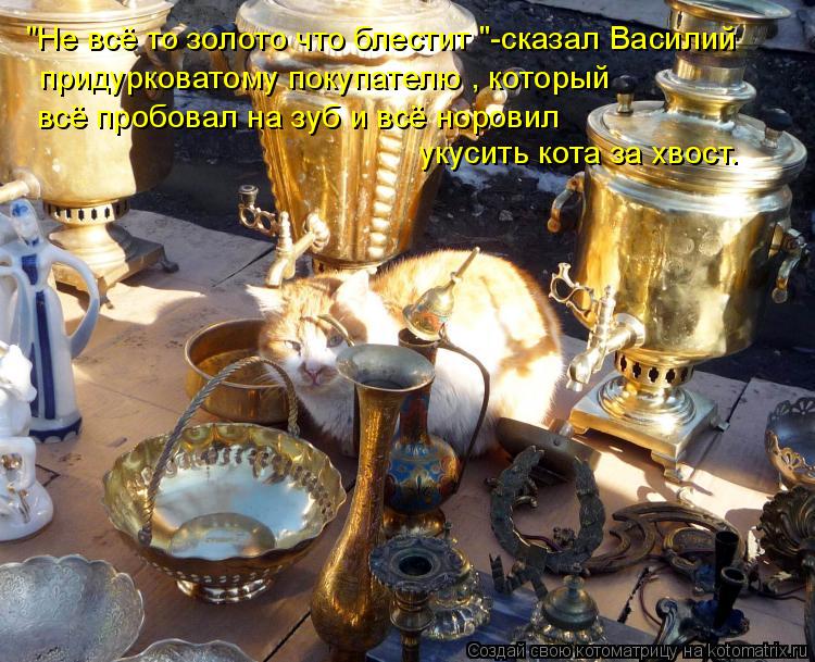 "Не всё то золото что блестит "-сказал Василий придурковатому покупателю , который всё пробовал на ... Котоматрица: "Не всё то золото что блестит "-сказал Василий придурковатому покупателю , который всё пробовал на зуб и всё норовил укусить кота за хвост.