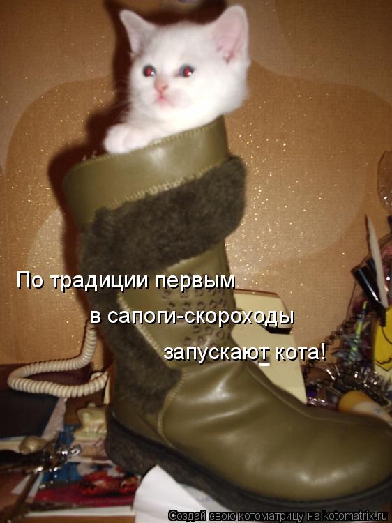 По традиции первым в сапоги-скороходы запускают кота!... Котоматрица: По традиции первым в сапоги-скороходы запускают кота!