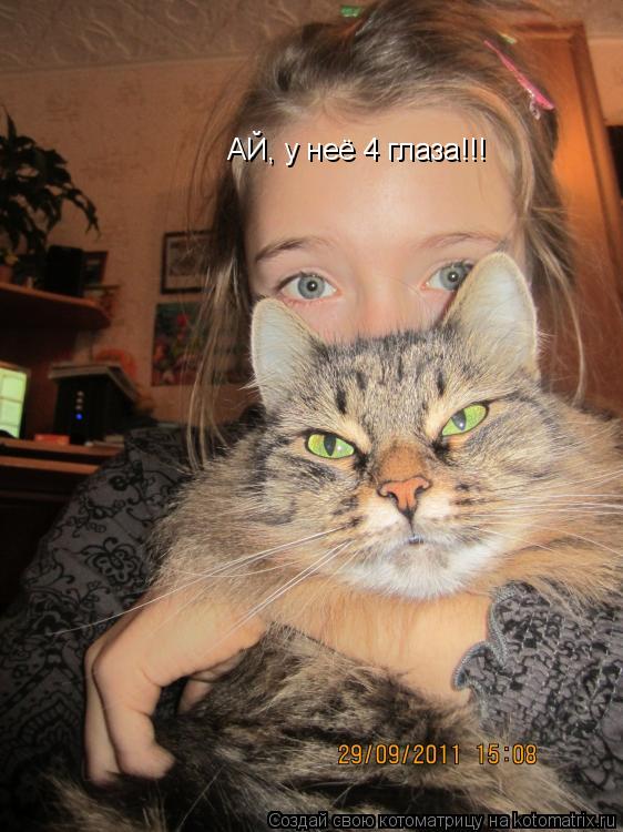 АЙ, у неё 4 глаза!!!... Котоматрица: АЙ, у неё 4 глаза!!!