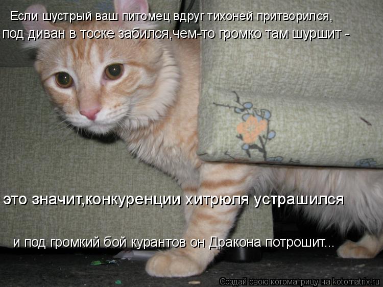 Если шустрый ваш питомец вдруг тихоней притворился, под диван в тоске забился,чем-то громко там шурш... Котоматрица: Если шустрый ваш питомец вдруг тихоней притворился, под диван в тоске забился,чем-то громко там шуршит - это значит,конкуренции хитрюля ус