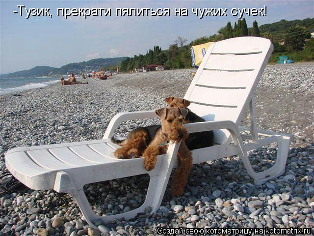 -Тузик, прекрати пялиться на чужих сучек!... Котоматрица: -Тузик, прекрати пялиться на чужих сучек!