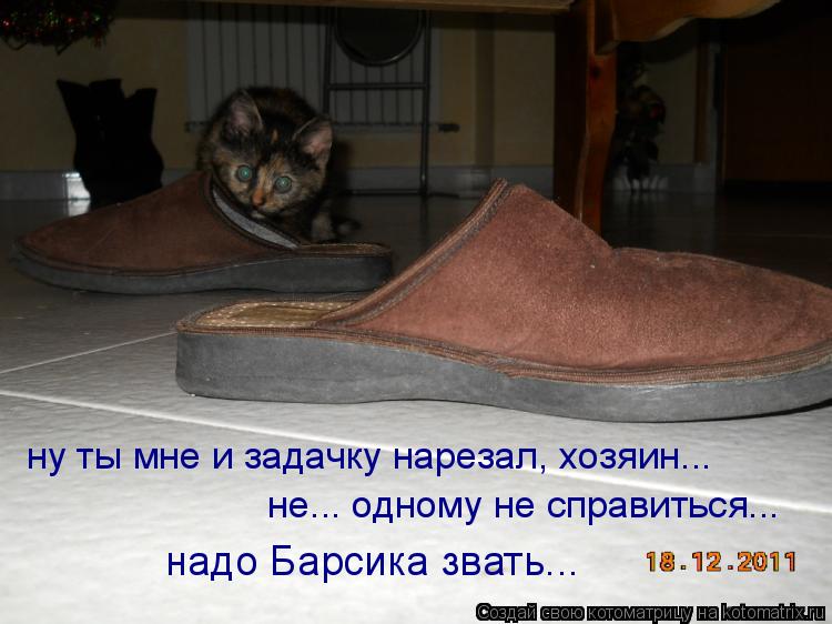 ну ты мне и задачку нарезал, хозяин... не... одному не справиться... надо Барсика звать...... Котоматрица: ну ты мне и задачку нарезал, хозяин... не... одному не справиться... надо Барсика звать...