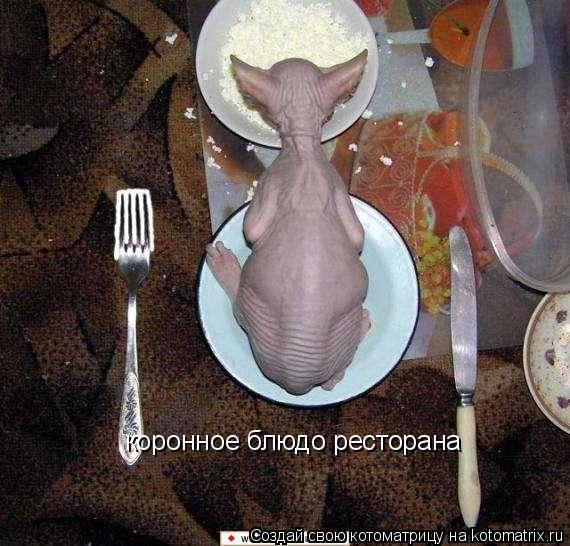 коронное блюдо ресторана... Котоматрица: коронное блюдо ресторана