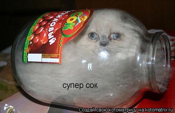 супер сок... Котоматрица: супер сок