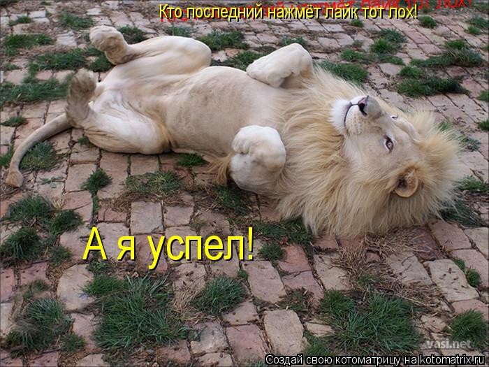 Кто последний нажмёт лайк тот лох! Кто последний нажмёт лайк тот лох! А я успел!... Котоматрица: Кто последний нажмёт лайк тот лох! Кто последний нажмёт лайк тот лох! А я успел!