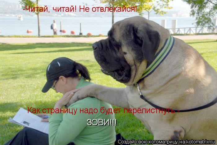 -Читай, читай! Не отвлекайся! Как страницу надо будет перелистнуть - ЗОВИ!!!... Котоматрица: -Читай, читай! Не отвлекайся! Как страницу надо будет перелистнуть - ЗОВИ!!!