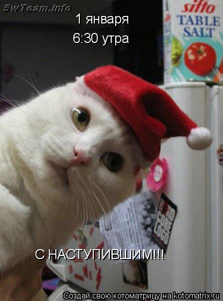 1 января 6:30 утра С НАСТУПИВШИМ!!!... Котоматрица: 1 января 6:30 утра С НАСТУПИВШИМ!!!