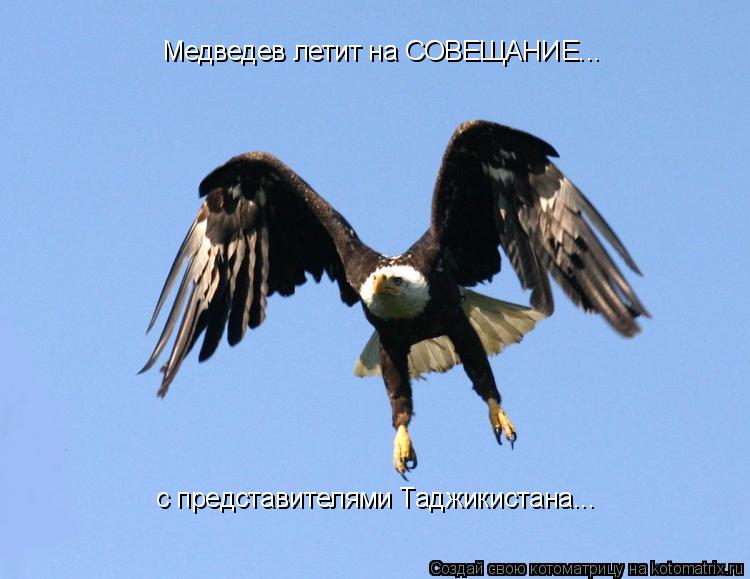 Медведев летит на СОВЕЩАНИЕ... с представителями Таджикистана...... Котоматрица: Медведев летит на СОВЕЩАНИЕ... с представителями Таджикистана...