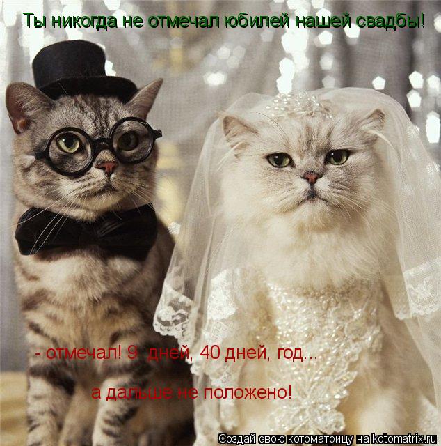 Ты никогда не отмечал юбилей нашей свадбы! - отмечал! 9 дней, 40 дней, год... а дальше не положено!... Котоматрица: Ты никогда не отмечал юбилей нашей свадбы! - отмечал! 9 дней, 40 дней, год... а дальше не положено!