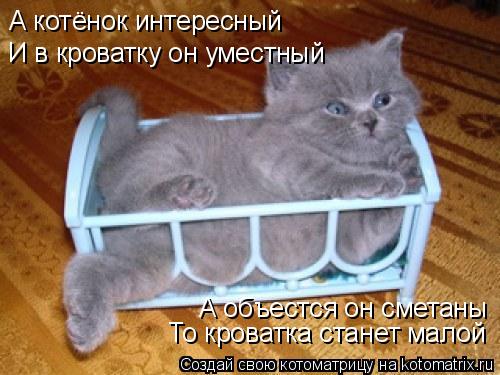 А котёнок интересный И в кроватку он уместный То кроватка станет малой А объестся он сметаны... Котоматрица: А котёнок интересный И в кроватку он уместный То кроватка станет малой А объестся он сметаны