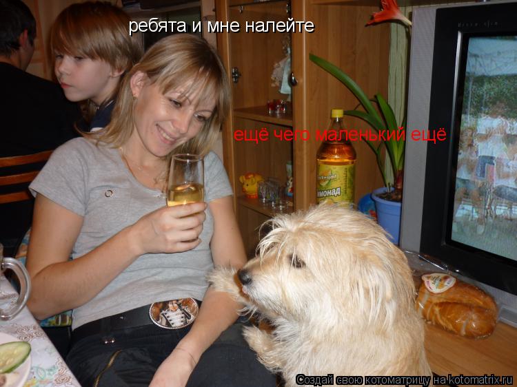 ребята и мне налейте ещё чего маленький ещё... Котоматрица: ребята и мне налейте ещё чего маленький ещё