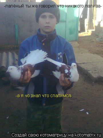 -палёный ты же говорил что никакого палива- -а я чо знал что спалимся-... Котоматрица: -палёный ты же говорил что никакого палива- -а я чо знал что спалимся-