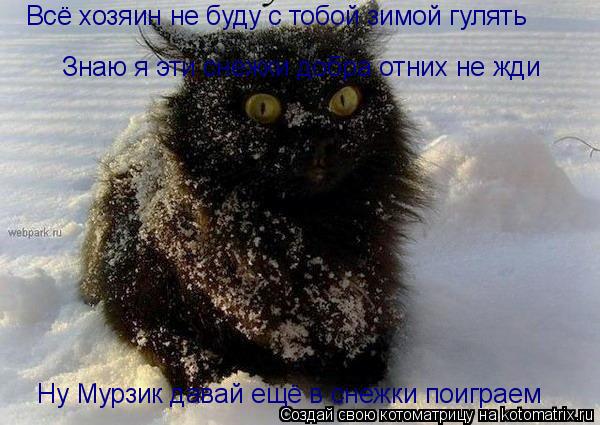 Всё хозяин не буду с тобой зимой гулять Ну Мурзик давай ещё в снежки поиграем Знаю я эти снежки добра... Котоматрица: Всё хозяин не буду с тобой зимой гулять Ну Мурзик давай ещё в снежки поиграем Знаю я эти снежки добра отних не жди