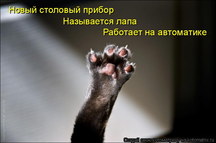 Новый столовый прибор Называется лапа Работает на автоматике... Котоматрица: Новый столовый прибор Называется лапа Работает на автоматике