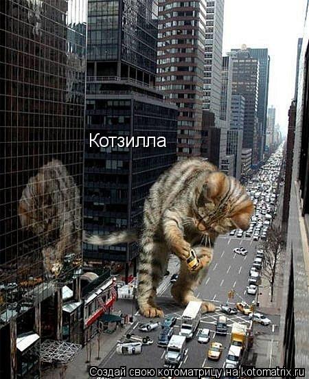Котзилла... Котоматрица: Котзилла