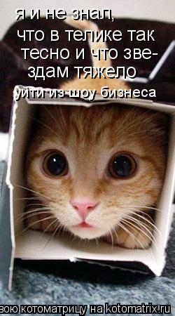 я и не знал, что в телике так тесно и что зве- здам тяжело уйти из шоу бизнеса... Котоматрица: я и не знал, что в телике так тесно и что зве- здам тяжело уйти из шоу бизнеса