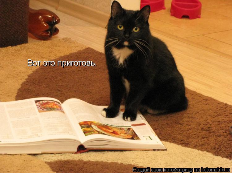 Вот это приготовь.... Котоматрица: Вот это приготовь.